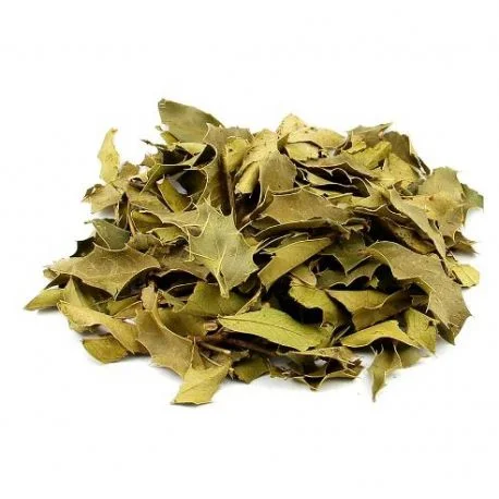 ESPINHEIRA SANTA - 70g